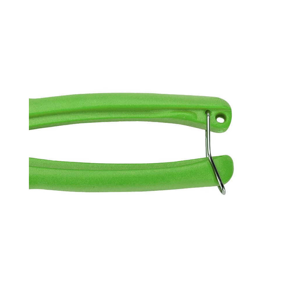 Secateur Bahco P123 green B6