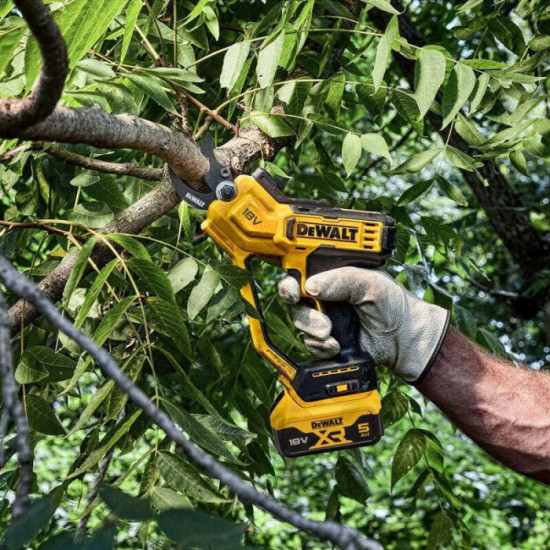 Secateur sans fil 18V xr Dewalt DCMPP568N xj