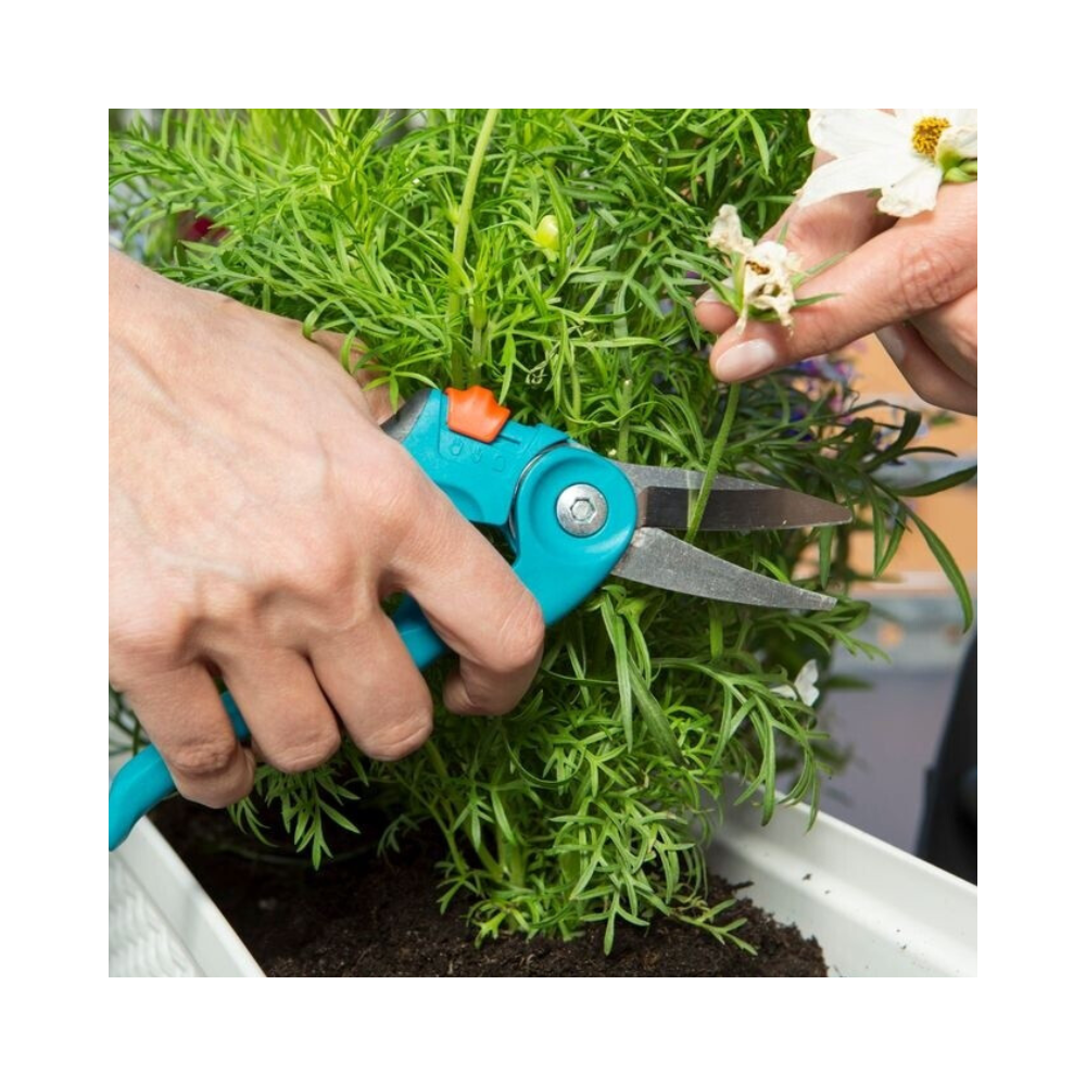 Secateur a herbe et a fleurs gardena 08707 20