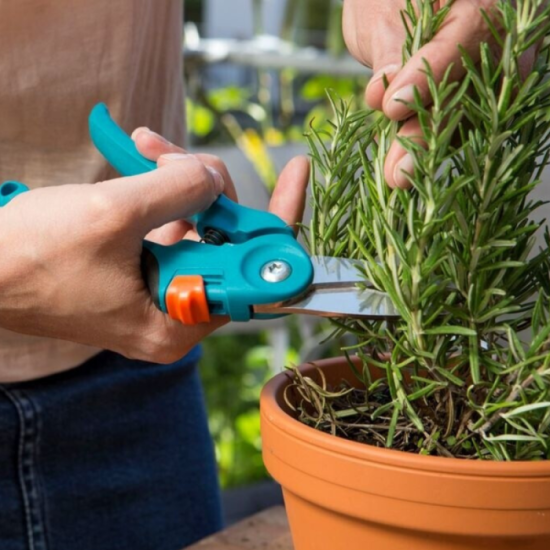 Secateur a herbe et a fleurs gardena 08707 20