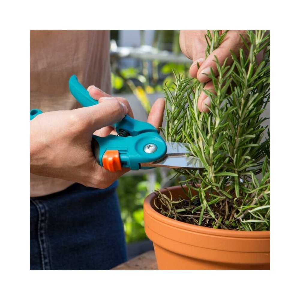 Secateur a herbe et a fleurs gardena 08707 20
