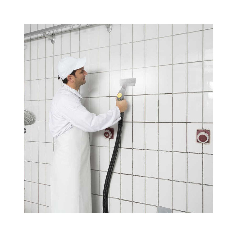 Aspirateurs a vapeur sgv 85 Kärcher 10920100