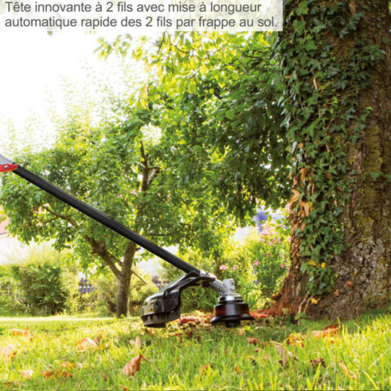 Debroussailleuse 18CV BCH5300BP scheppach 5910707903