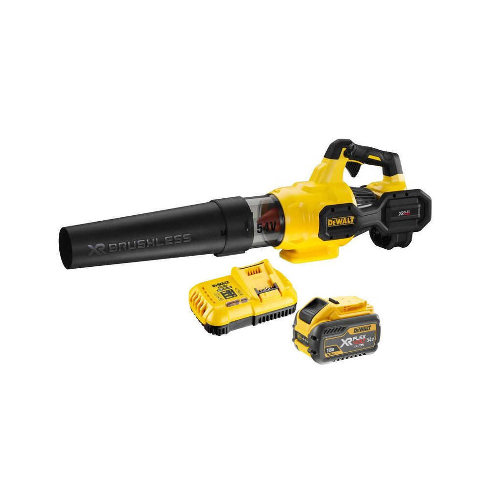 Souffleur DeWalt DCMBA572X1-QW au prix HT