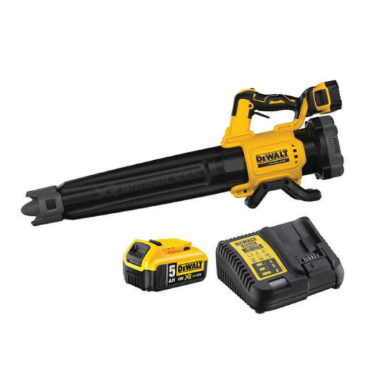 Souffleur DeWalt DCMBL562P1-QW au prix HT