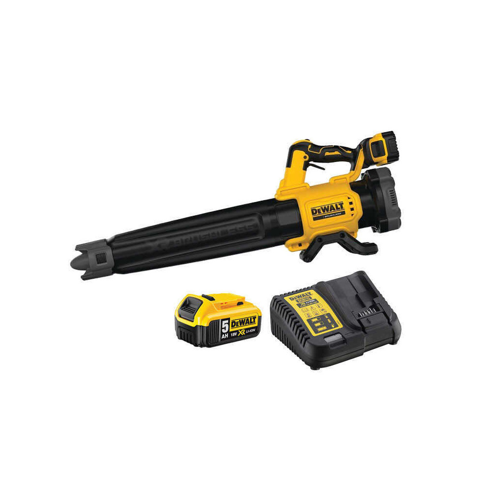 Souffleur DeWalt DCMBL562P1-QW au prix HT