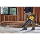Souffleur DeWalt DCMBL562P1-QW au prix HT