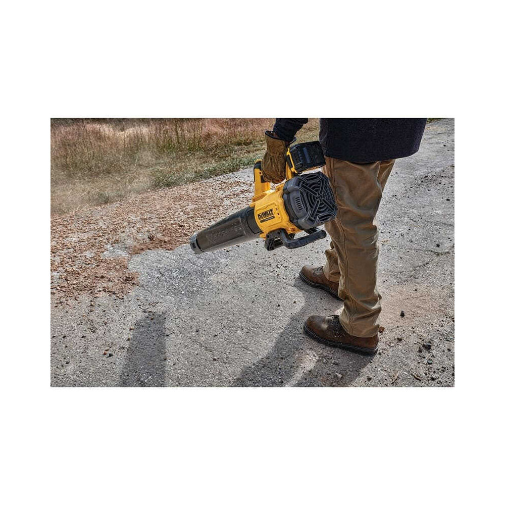 Souffleur DeWalt DCMBL562P1-QW au prix HT