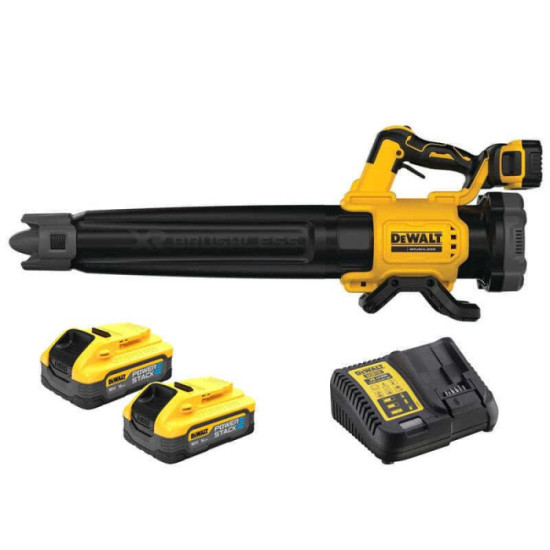 Souffleur DeWalt DCMBL562H2-QW au prix HT