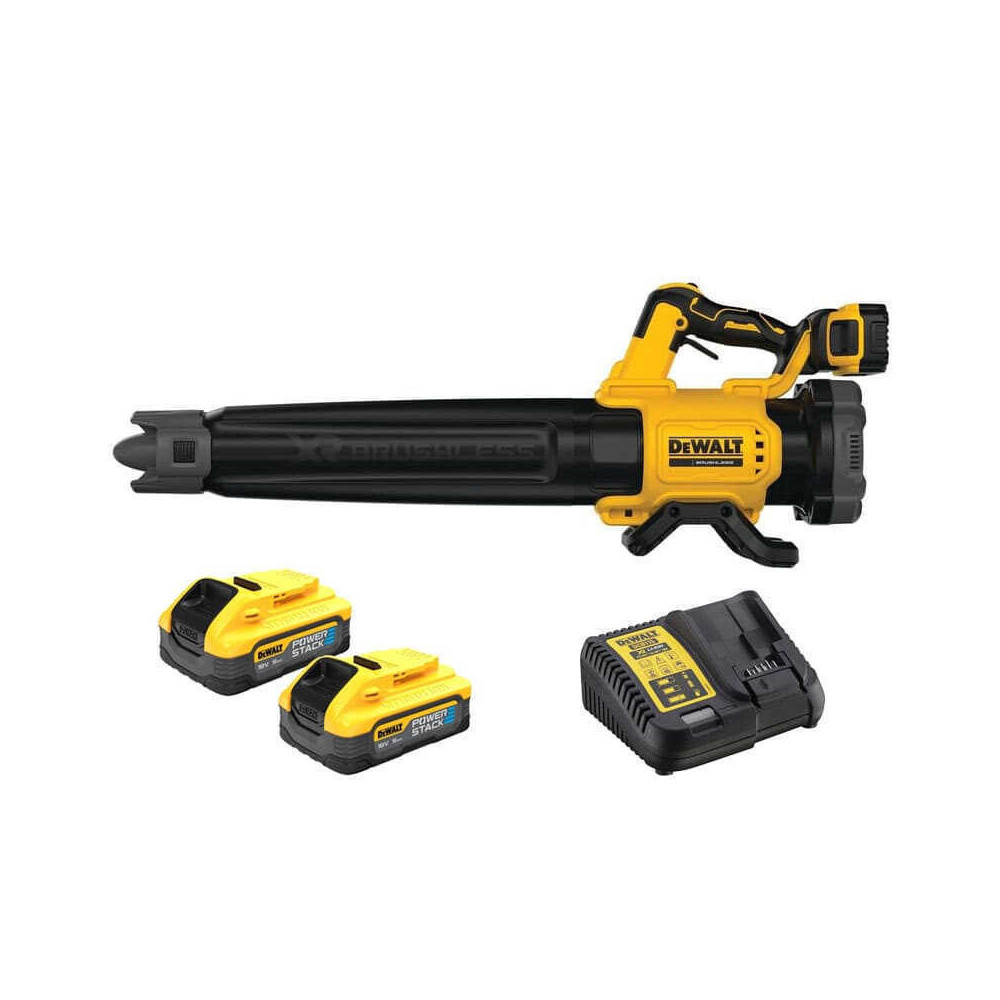 Souffleur DeWalt DCMBL562H2-QW au prix HT
