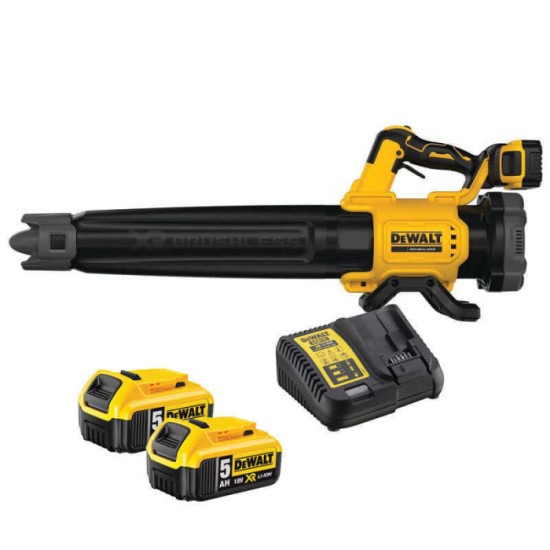 Souffleur DeWalt DCMBL562P2-QW au prix HT