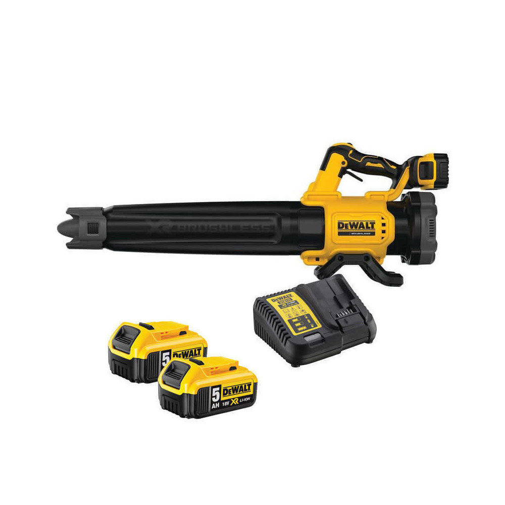 Souffleur DeWalt DCMBL562P2-QW au prix HT