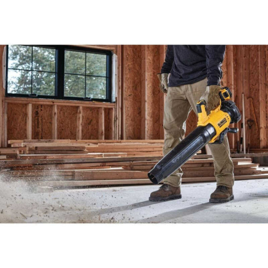 Souffleur DeWalt DCMBL562P2-QW au prix HT