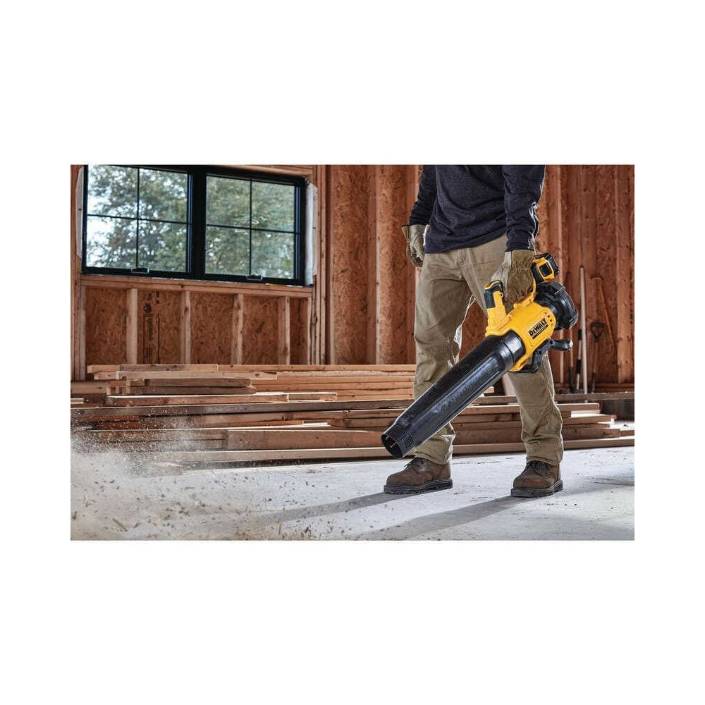 Souffleur DeWalt DCMBL562P2-QW au prix HT