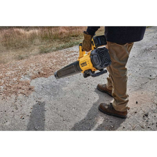 Souffleur DeWalt DCMBL562P2-QW au prix HT