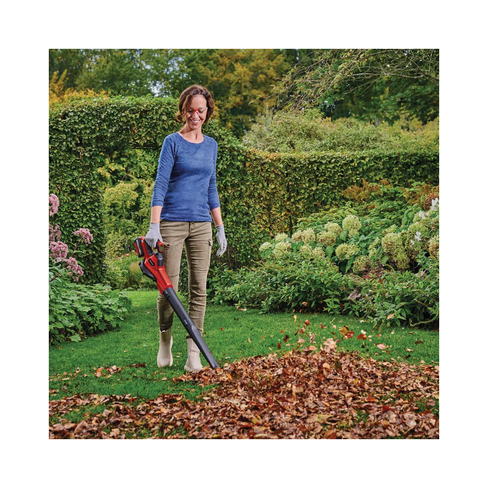 Souffleur Einhell GE-UB 18/250 Li E-Solo au prix HT
