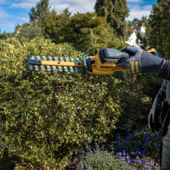 Taille haie 18V 20CM machine seule Dewalt DCMHT520N xj