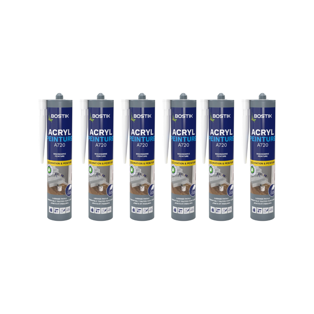 Lot de 6 mastics acryliques peignables blanc 310 ml Bostik | ProForPro
