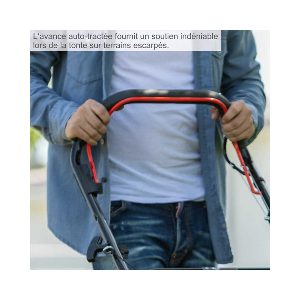 Tondeuse a gazon thermique autotractee 46CM MS161 46 scheppach 5911244905