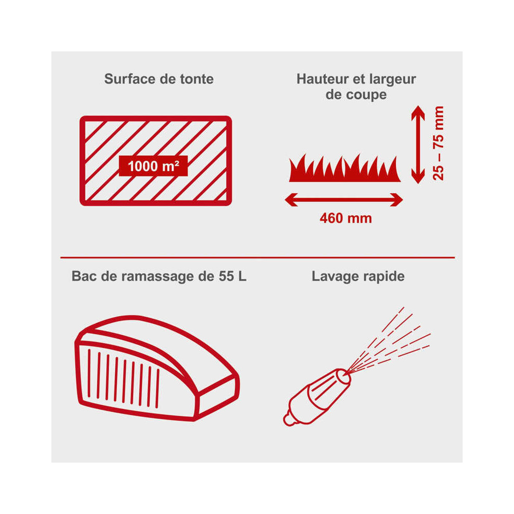 Tondeuse a gazon thermique autotractee 46CM MS161 46 scheppach 5911244905