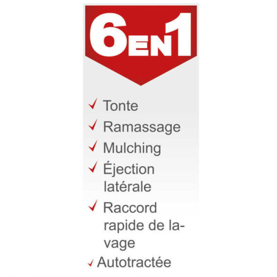 Tondeuse a gazon thermique autotractee 46CM MS161 46 scheppach 5911244905
